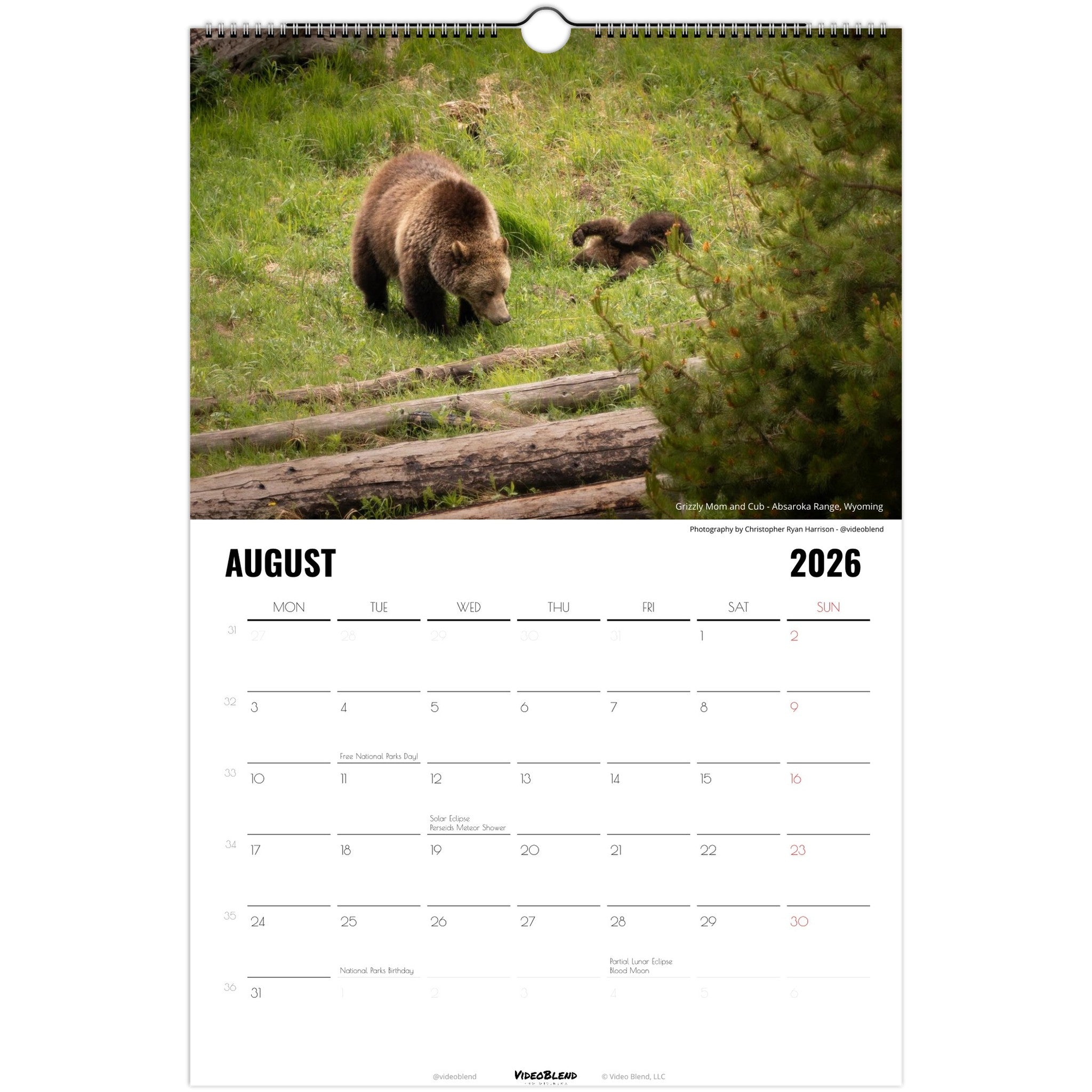 600670d8-dc56-43a1-94b8-cb24555859d0