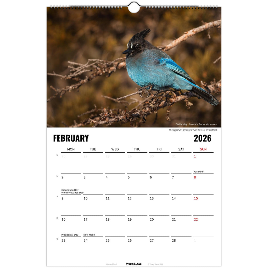 65382f21-5c2f-45aa-9254-5773b4121174