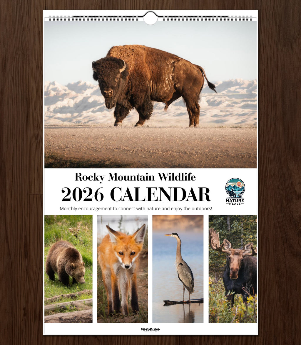 The 2026 Rocky Mountain Wildlife Calendar