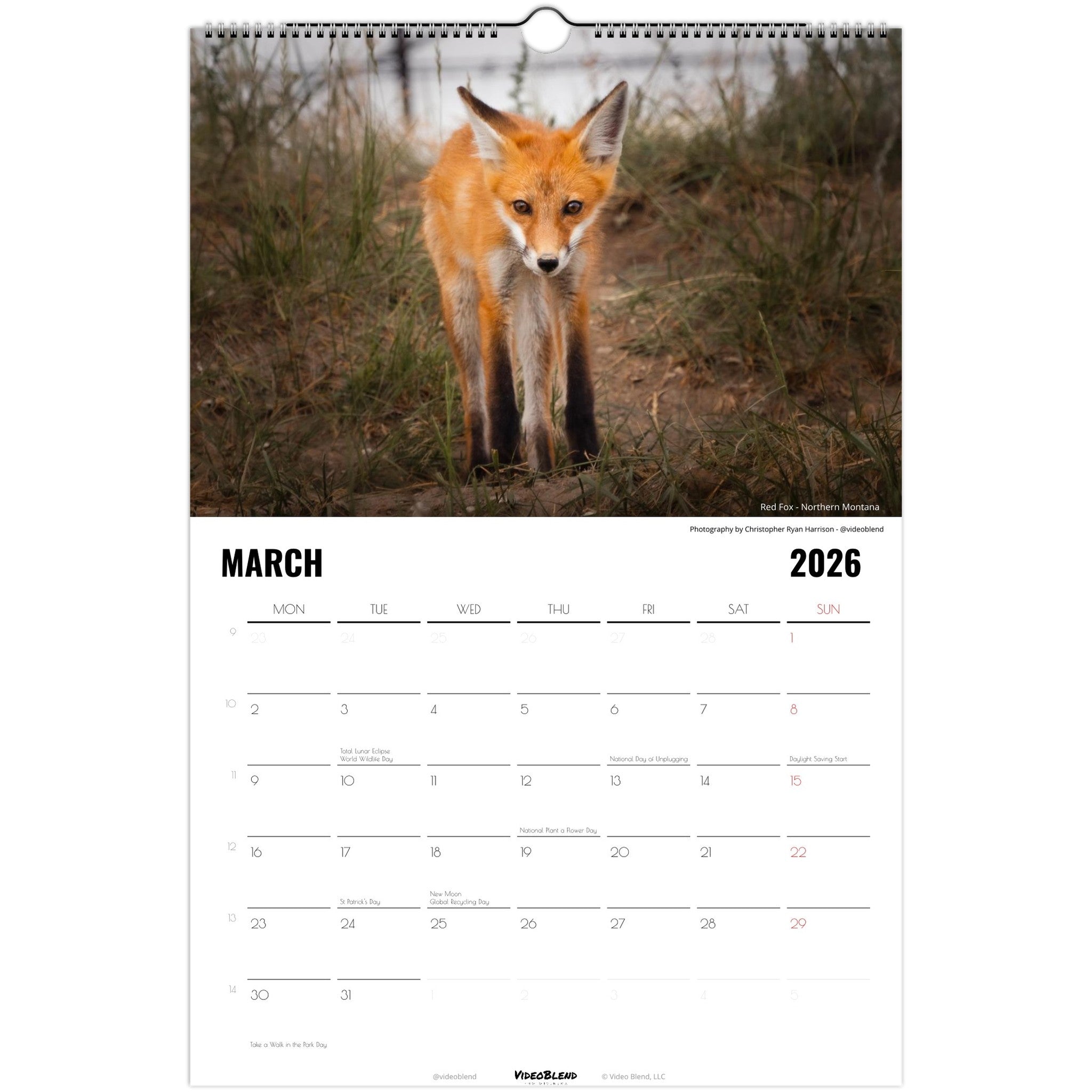 c408d775-2b00-4634-a174-1c6c46cfe48d