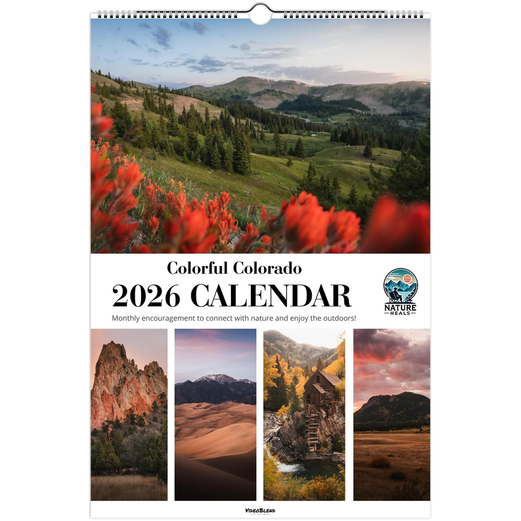 cebb2203-a733-4641-9b05-09575fc634bf