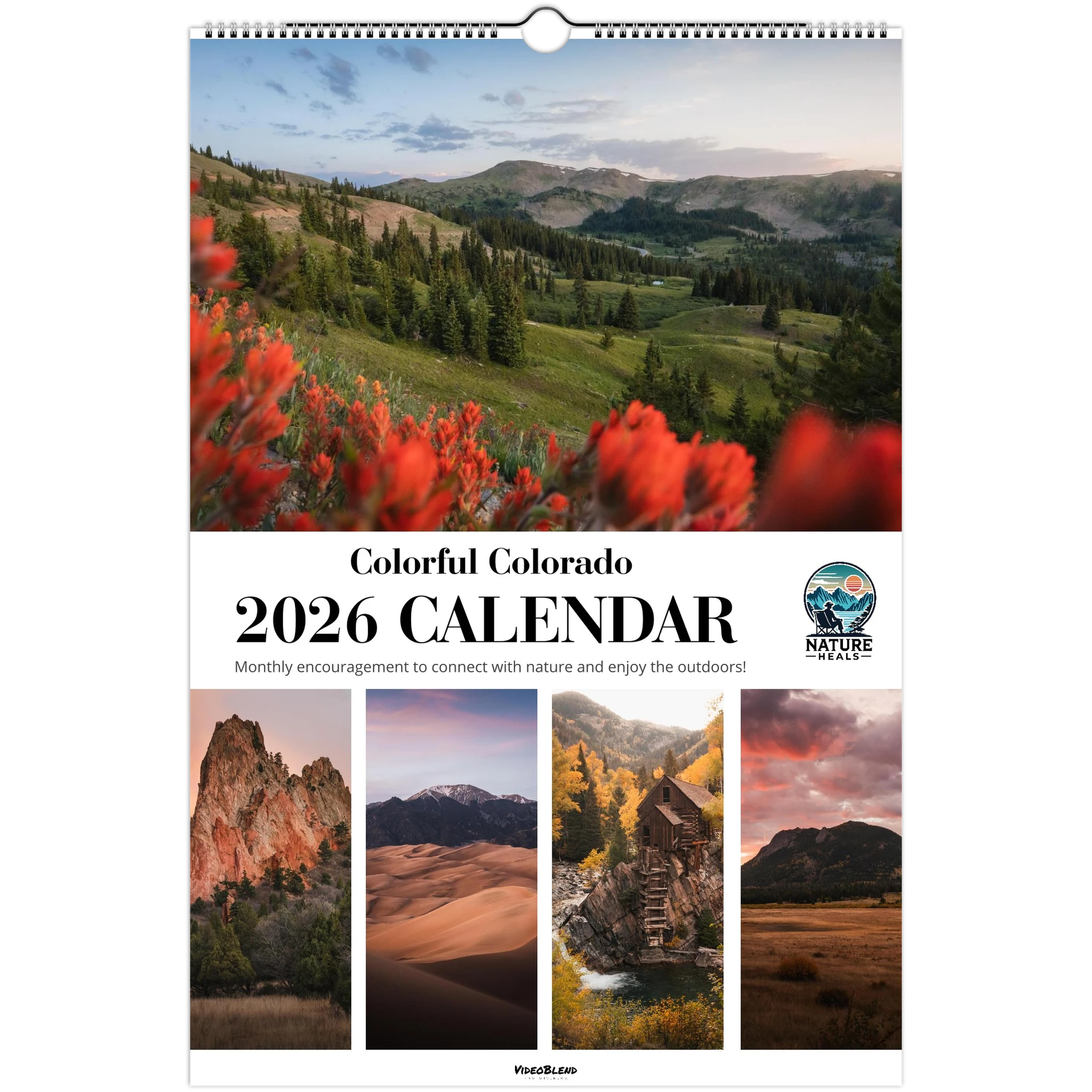 cebb2203-a733-4641-9b05-09575fc634bf