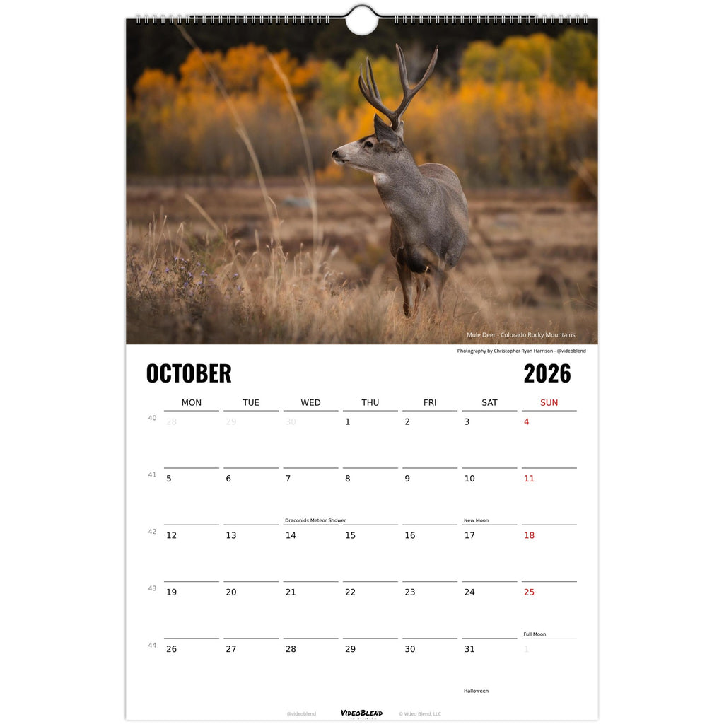 f1e3dbcf-67a3-433e-99e4-c882521380f8